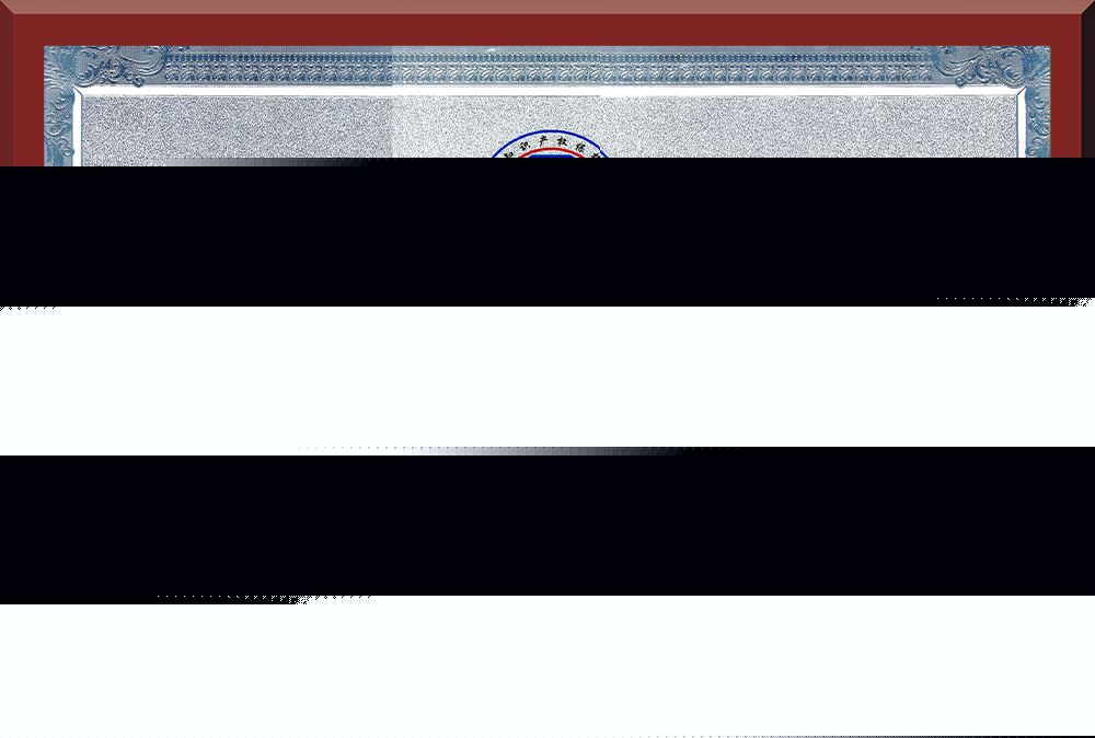 05、廣東省知識(shí)產(chǎn)權(quán)示范企業(yè)